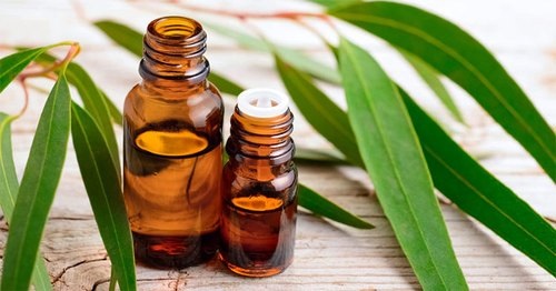 Eucalyptus Oil market poised to expand at a robust pace by 2026